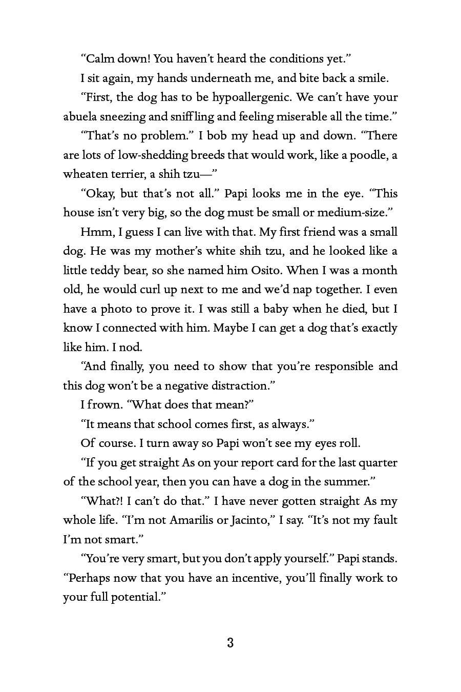 Lee & Low Books Inc - Wholesale Early Reader Book (6-8) - Miosotis Flores Never Forgets by Hilda Burgos3