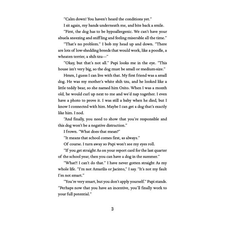 Lee & Low Books Inc - Vendita all'ingrosso Early Reader Book (6-8) - Miosotis Flores non dimentica mai di Hilda Burgos3