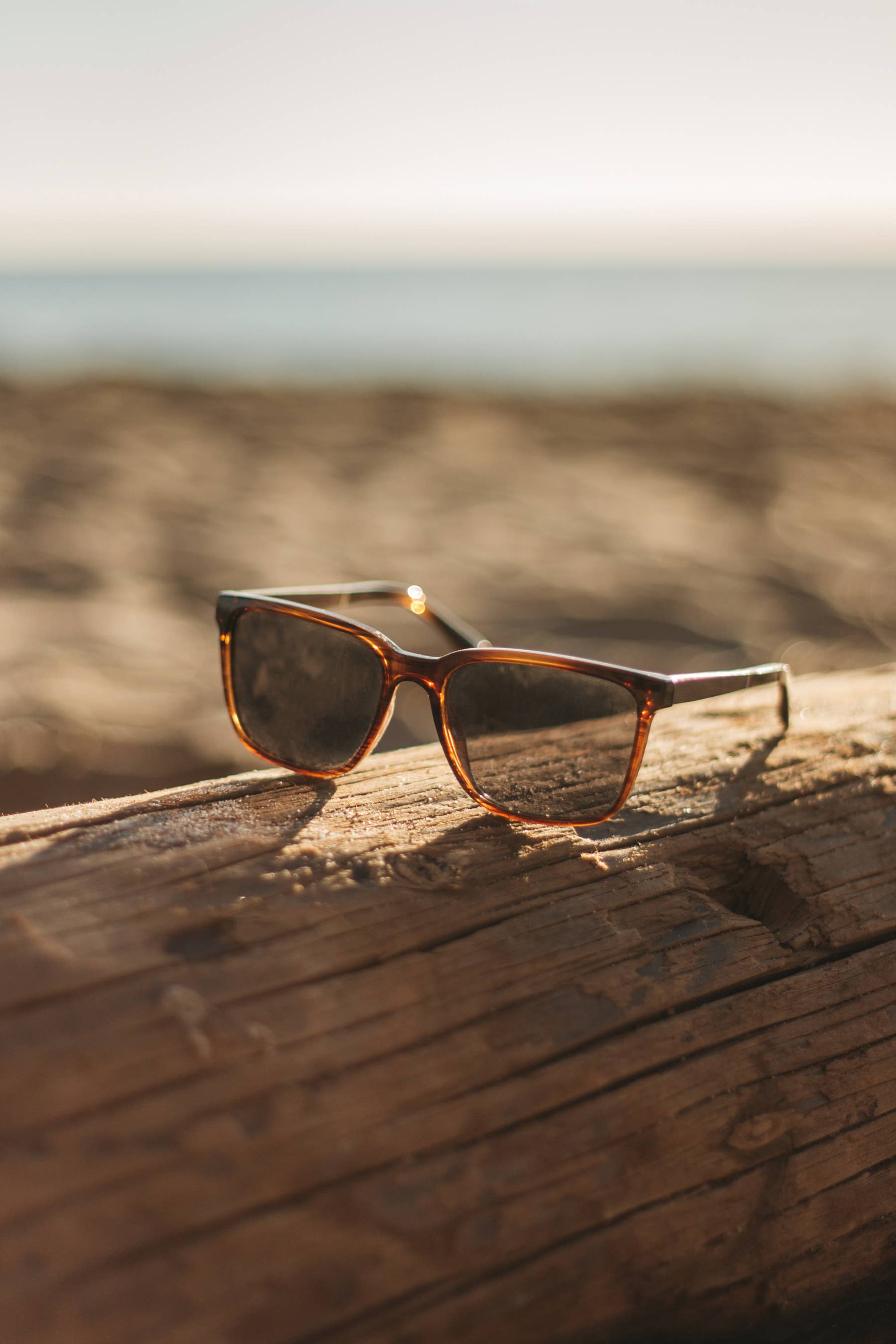 CAMP Eyewear - Wholesale Sunglasses - Unisex - CAMP Crag Sunglasses - Tortoise3