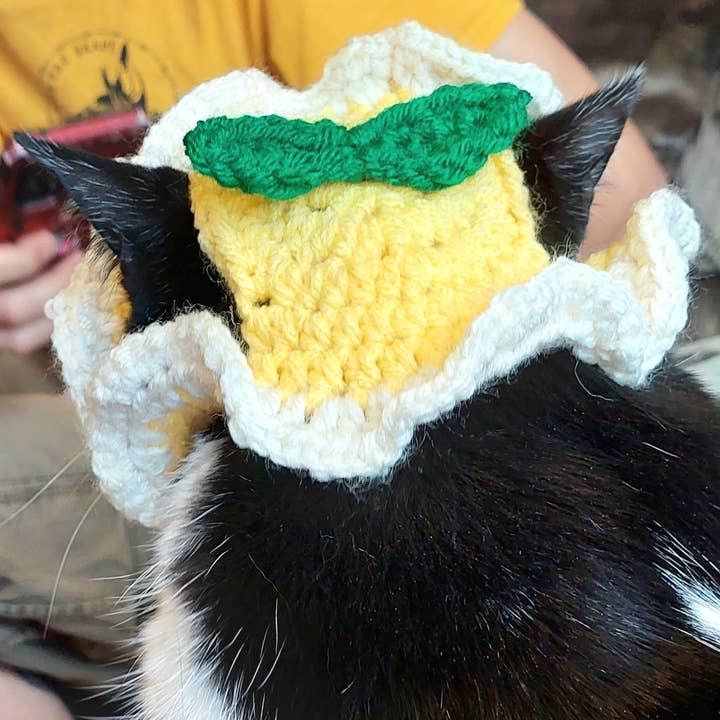 Glitter Ghost Clothing and Accessories - Vente Chapeau – chien - Chapeau citron au crochet - Bonnet pour chat - Bonnet pour animal de compagnie2