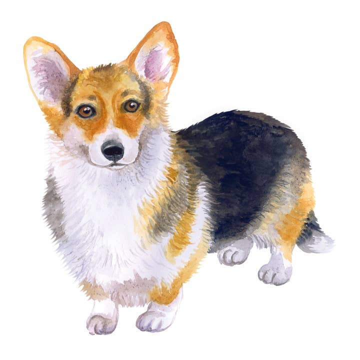 Bourbon & Bacon - Wholesale Stationery/Notecard Set - Corgi, Pembroke Welsh Note Cards