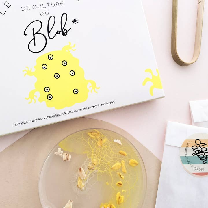 Pamela Loops - Wholesale DIY Craft Kit - Kids - Kit de culture de Blob4