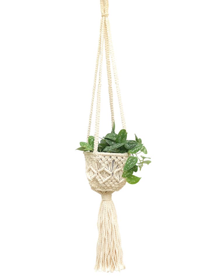 Handmade Macrame Cotton Plant Hanger (39inch, Pot: 6inx6in) for wholesale by Creation Jute USA