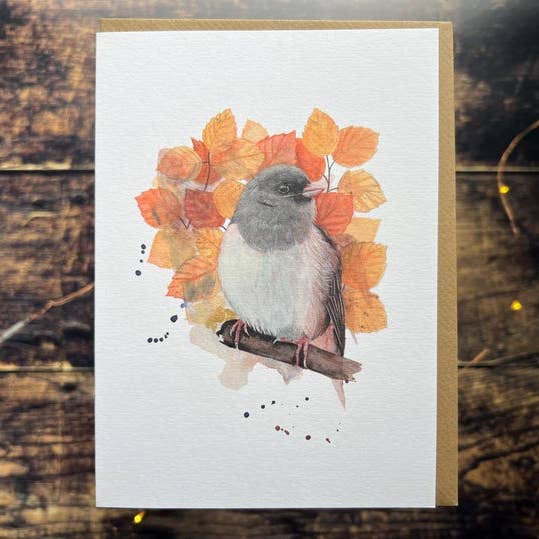 Georgina Doodles - Wholesale Everyday Greeting Card - Dark-eyed Junco Greetings Card | Blank card, Bird Art, Watercolour print0