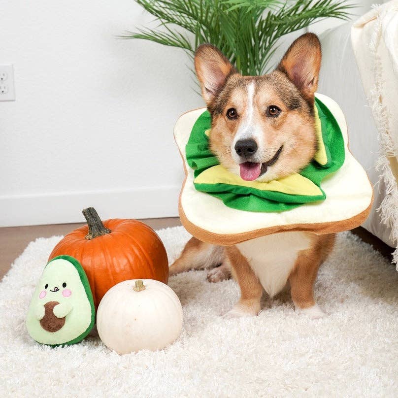 KIBU - Wholesale Pet Plush Toy - Dog - Avocado Plush Dog Toy1