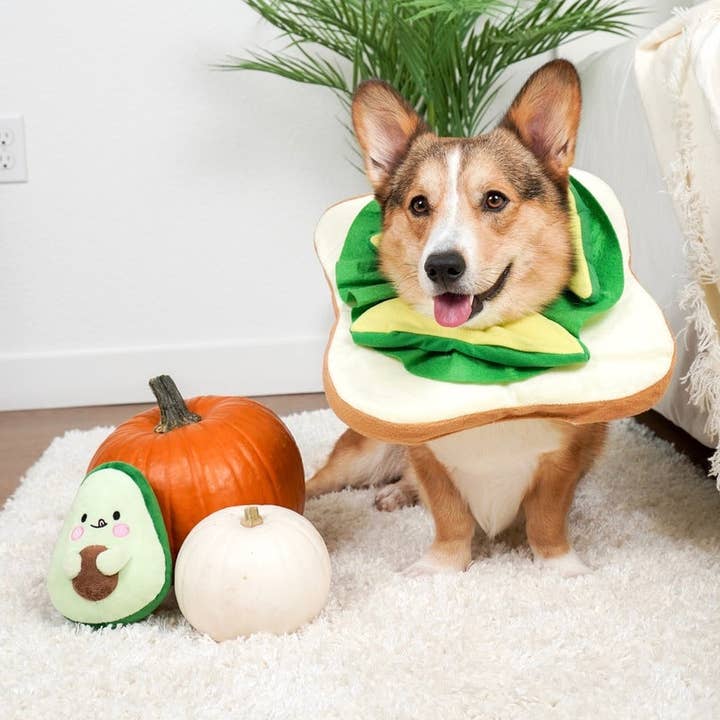 KIBU - Wholesale Pet Plush Toy - Dog - Avocado Plush Dog Toy1