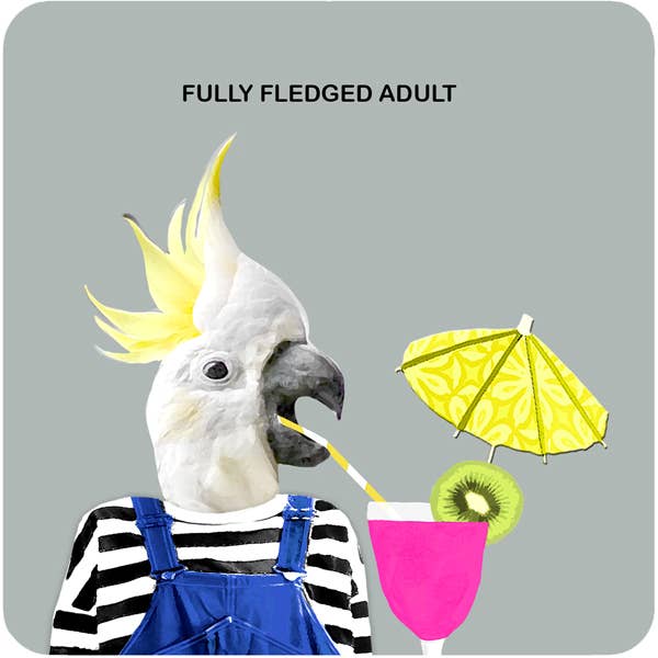 Coaster - Fuldt udbygget voksen for engroshandel hos Sally Scaffardi Design