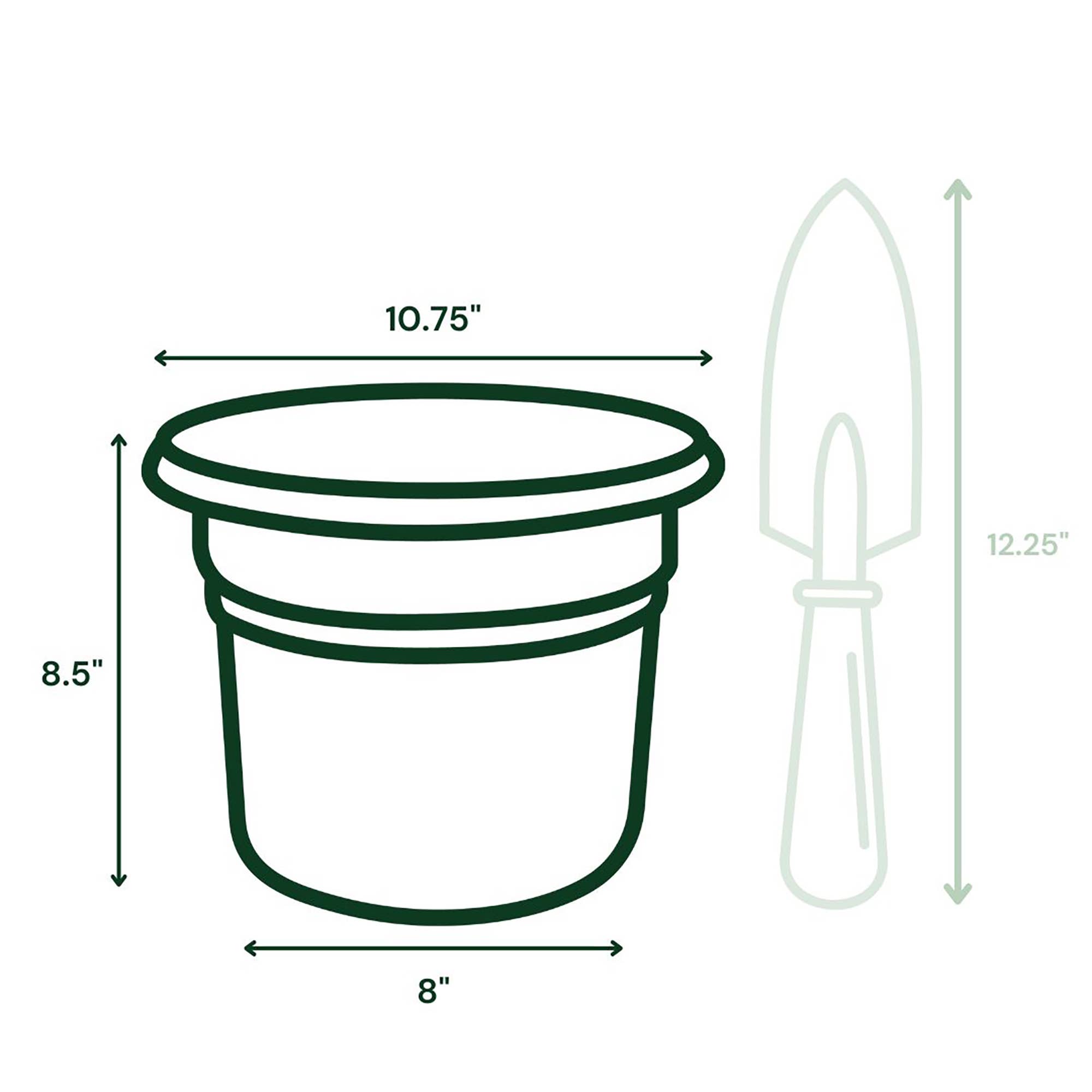 Bloem - Wholesale Plant Pot - Posy Plastic Planter Pot - Medium Sizes5