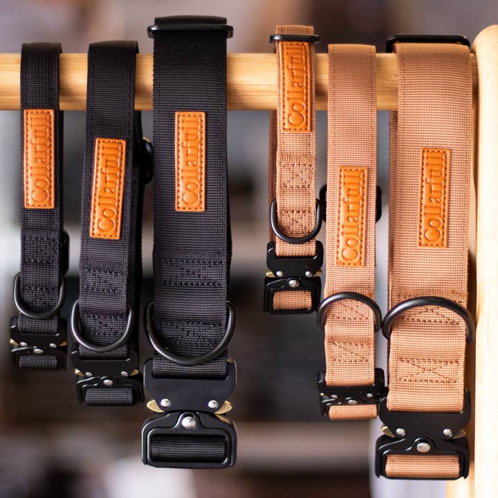 Collarfull - Wholesale Pet Collar - Dog - Collar - Stylish Black4