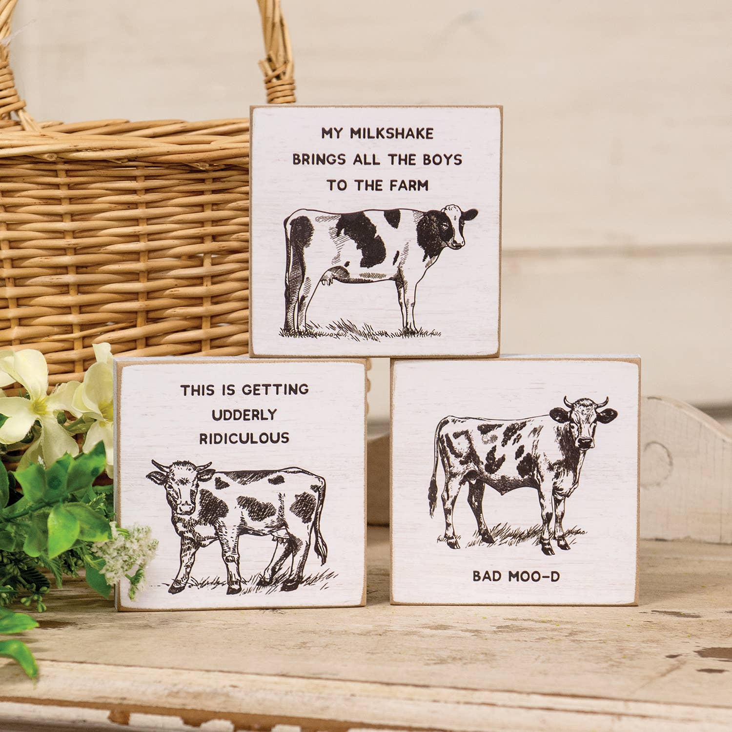 Col House Designs - Wholesale Decorative Tabletop Object - Udderly Ridiculous Square Block - 3 Asstd.1