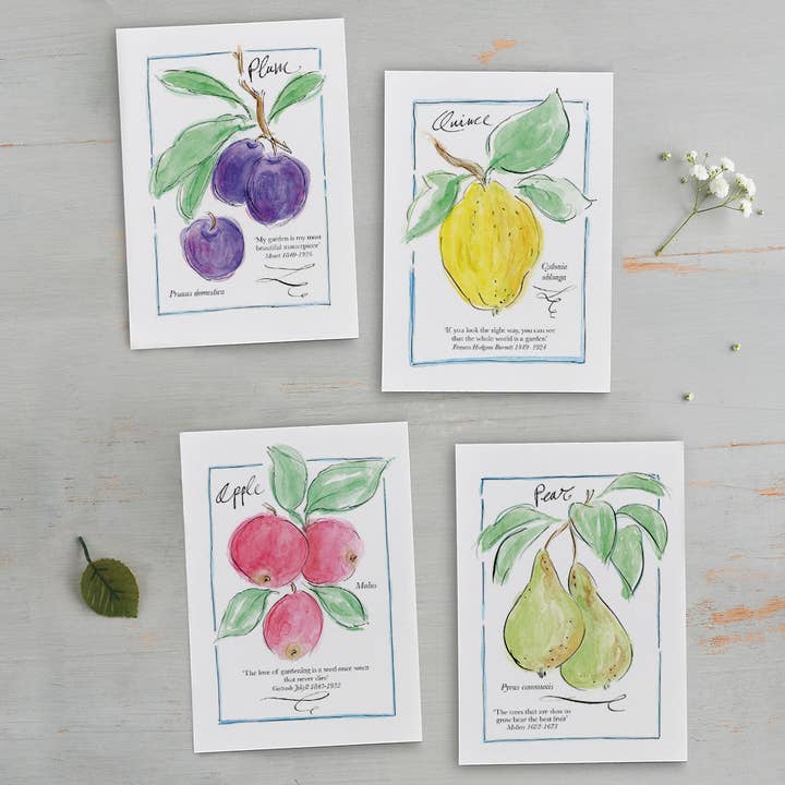 'My Allotment'Correspondence Set for wholesale by Gabrielle Solly Illustration
