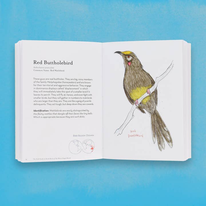 Chronicle Books - Wholesale Humor - The Field Guide to Dumb Birds of the Whole Stupid World6