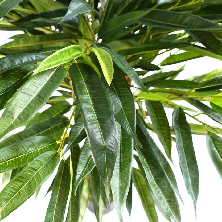 Leaf Design UK LTD - Vente Plantes artificielles - Ficus Longifolia artificiel naturel 100 cm à motif de feuilles