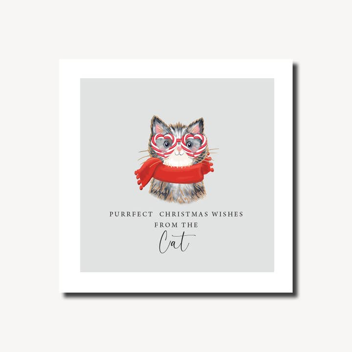 Gato con gafas de bastón de caramelo | Maravilla invernal | Tarjeta de Navidad para venta al por mayor de Marina B