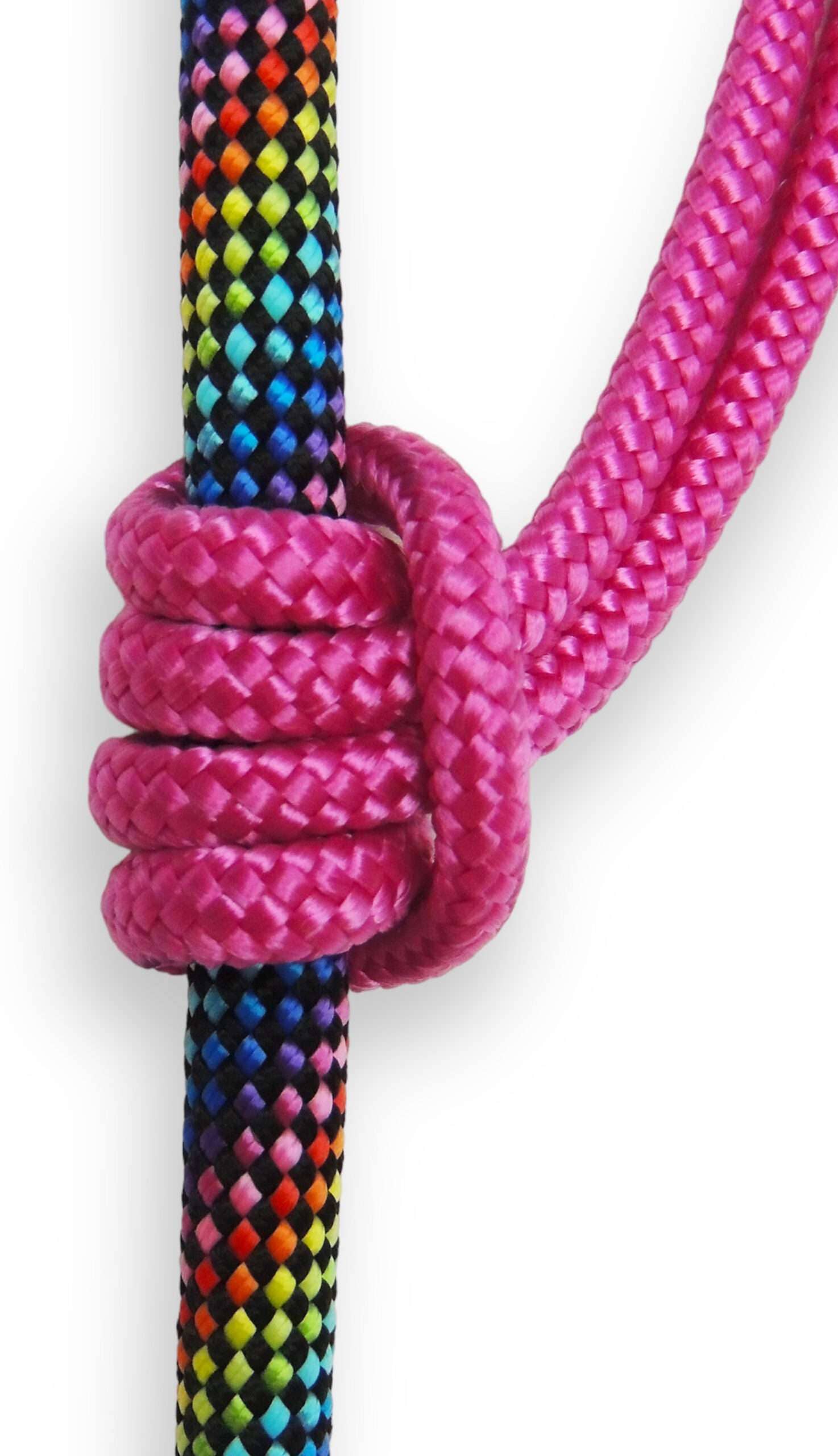 Blue Heeler – Engroshandel Hundesnor - Hund – Rainbow Of Corals - Udvidelig Hundesnor7