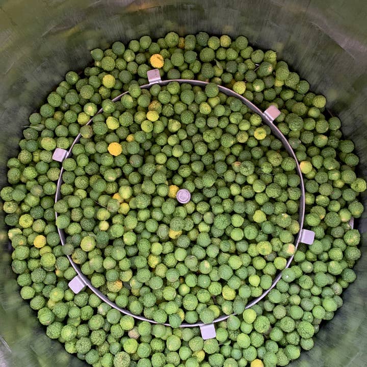 Essences Naturelles Corses - Vente Huile essentielle - Combava corse biodynamie - huile essentielle - Aromathérapie5