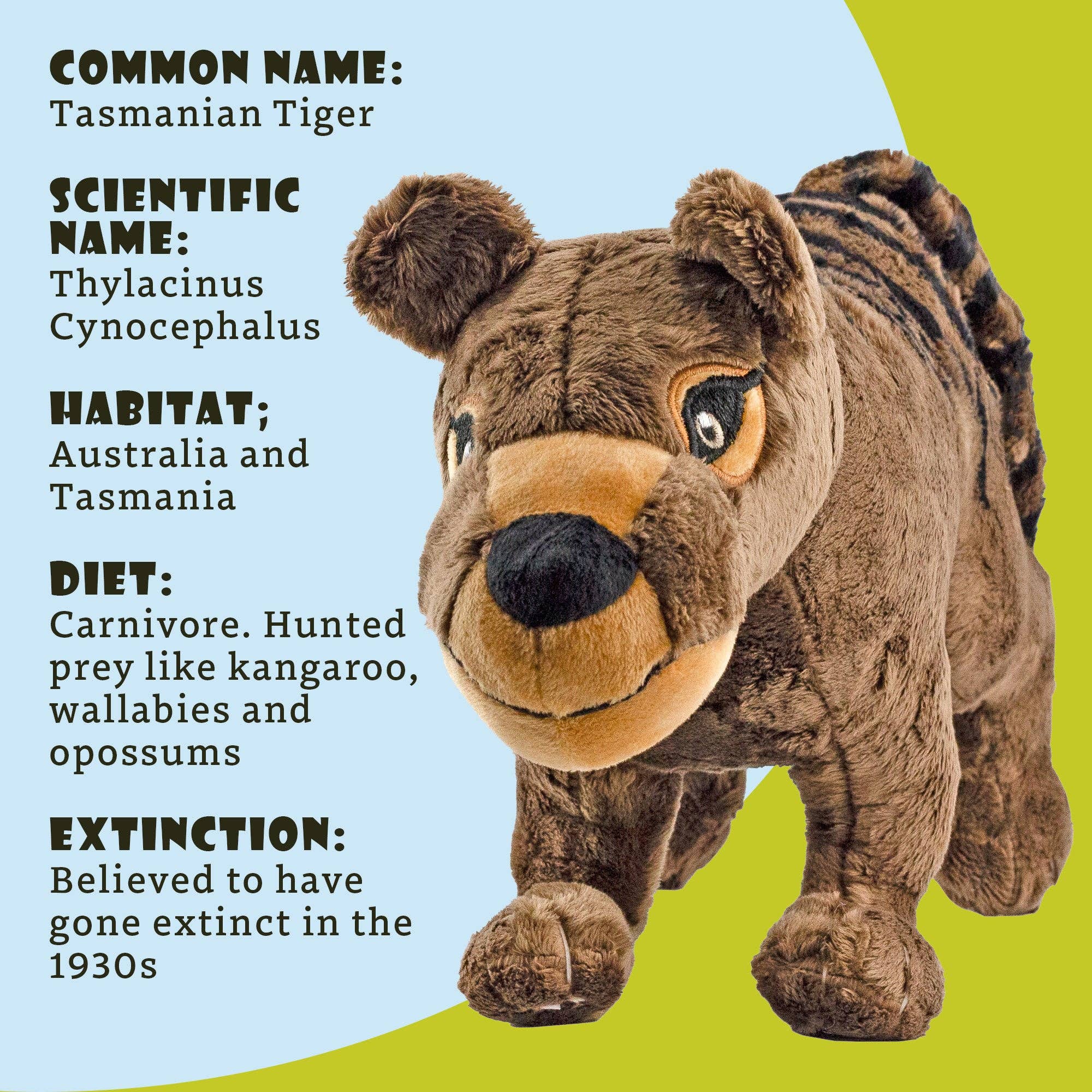 Kurated Korner - Vendita all'ingrosso Peluche - Bambini e neonati - Peluche Attatoy Tigre della Tasmania1