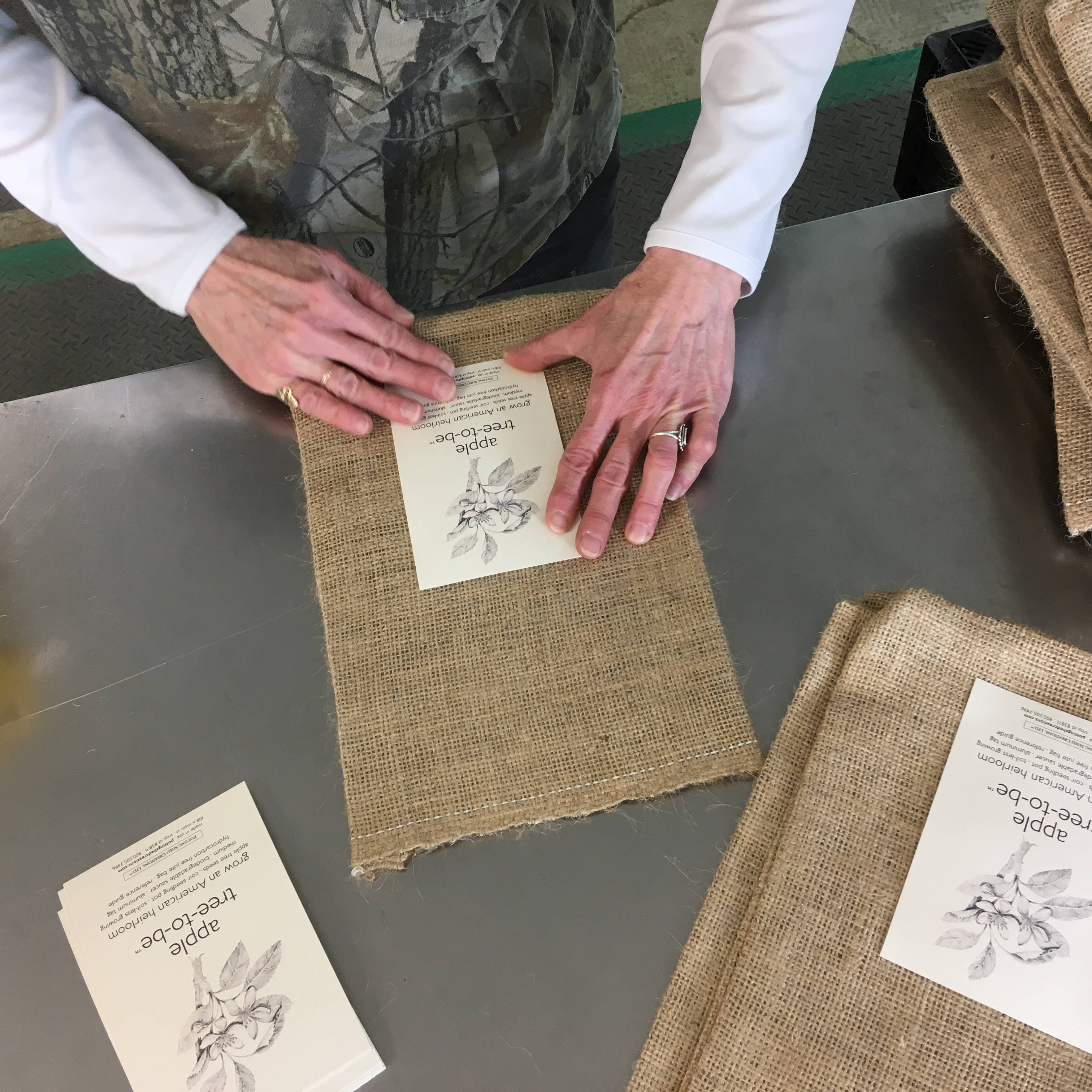 Potting Shed Creations, Ltd. - Wholesale Plant Seeds - Tree To Be | Apple | Teacher Thank you gift | Kid Activity5