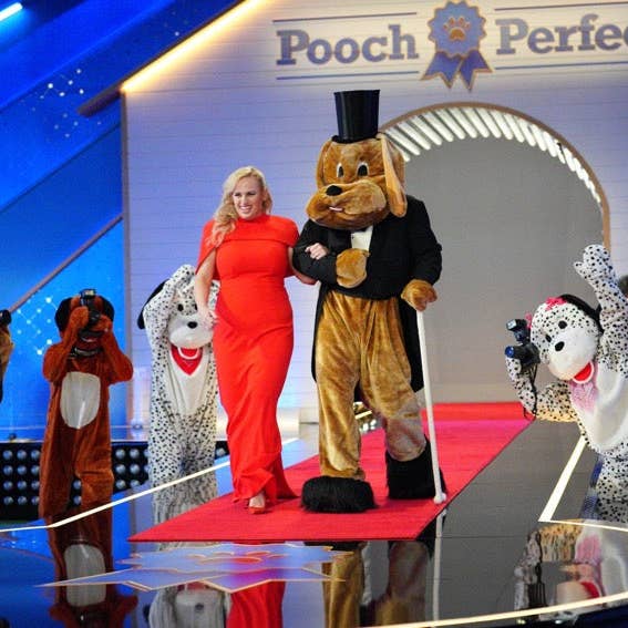 Crystal Butterfly Comb for wholesale by Hettie Hair Accessories