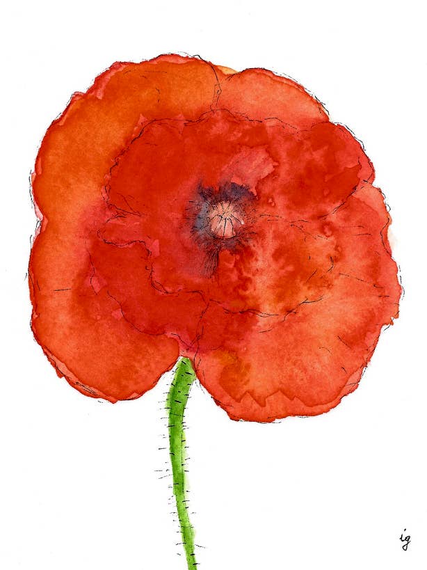 Poppy for wholesale by SAS {Seattle Art Studio}