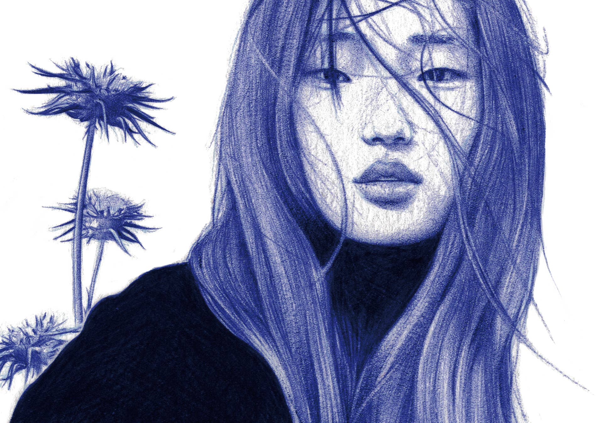 Belén Diz Juncal - Venta al por mayor Ilustración - Ilustraciones a bolígrafo - Arte original - Cardos1