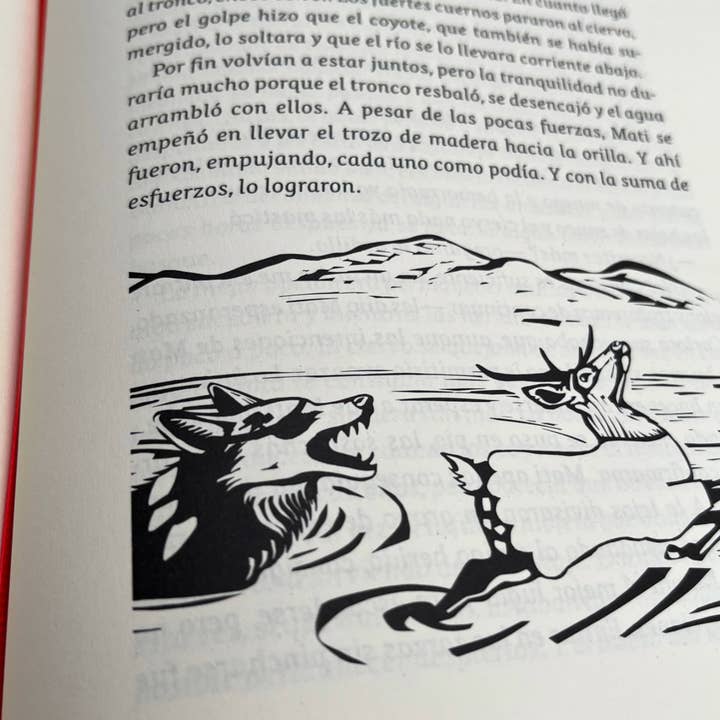 Pintar-Pintar Editorial - Wholesale Preschool Book (3-5) - The Forest of the Old Sequoia3