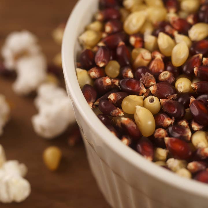 Seven Forks Farm - Wholesale Popcorn - Fireside Blend Popcorn 30oz. Bag