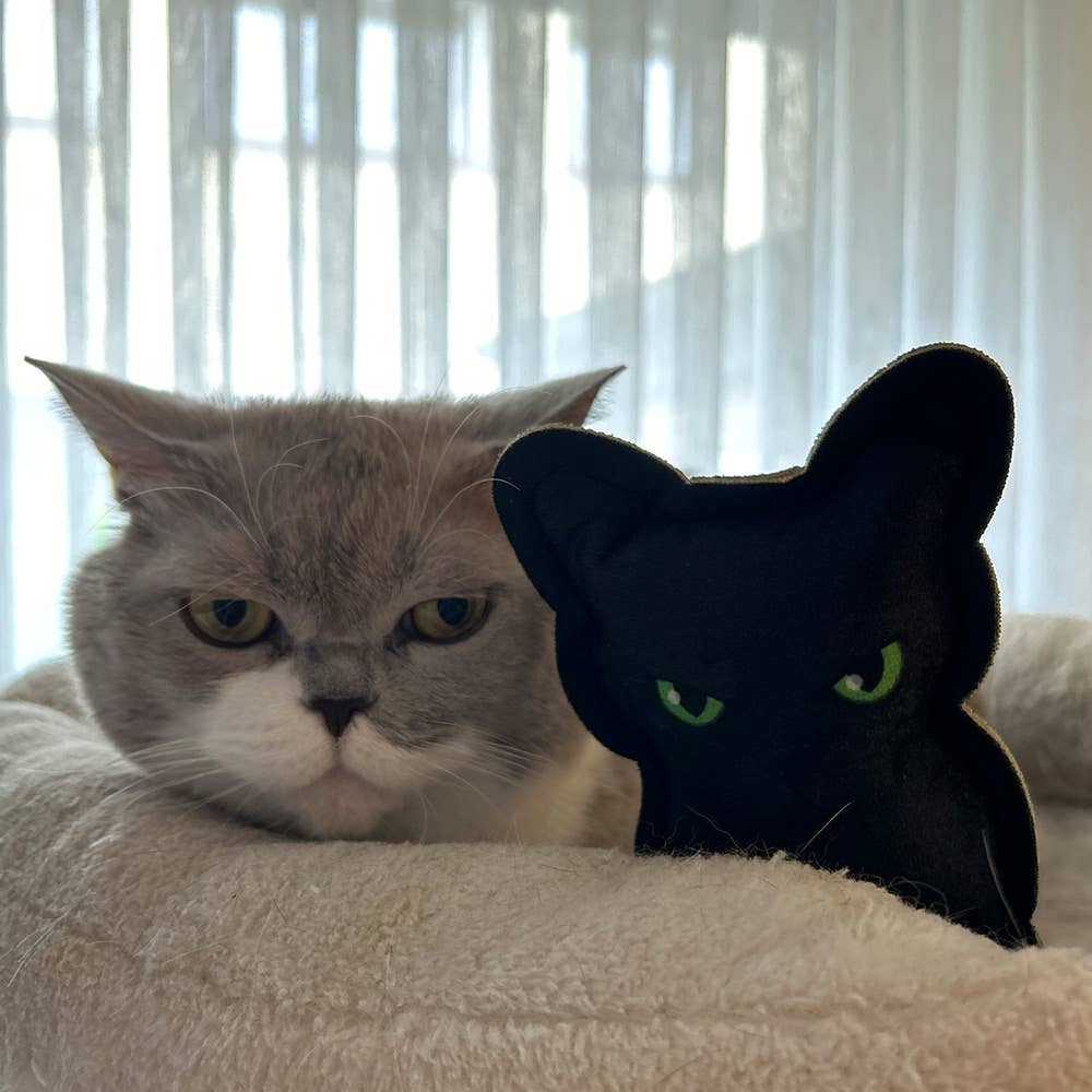 4cats Heimtierbedarf GmbH - Wholesale Pet Toy - Cat - 4cats Halloween Character - Black Cat - 4 Pieces2