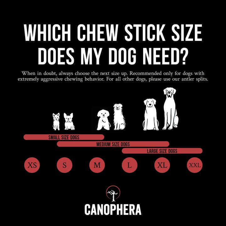 CANOPHERA LLC - Wholesale Pet Chew Toy - Dog - Dog Chew Made of Red Deer Antlers.