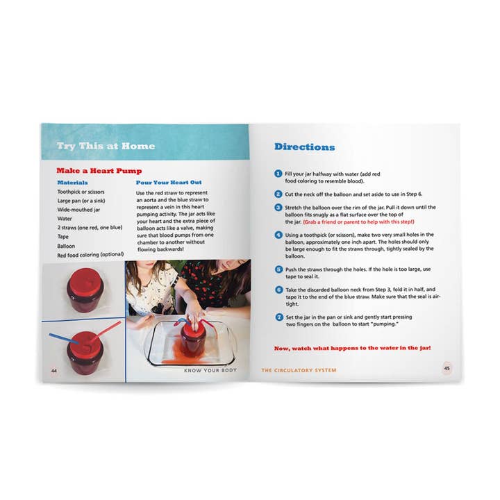 Know Yourself - Wholesale Book - Kids - Circulatory System: Know Your Body
