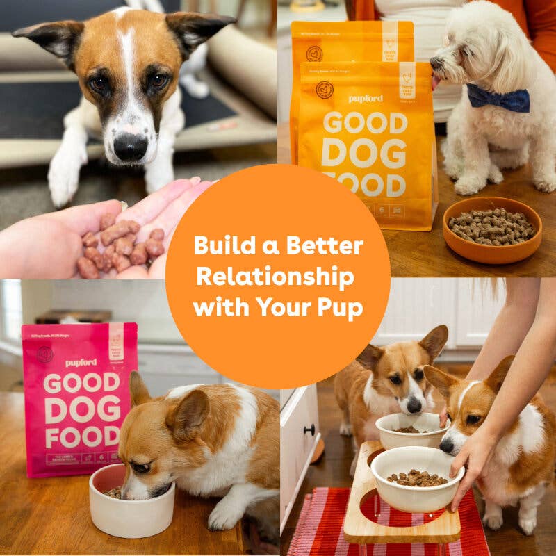 Pupford - Wholesale Pet Food - Dog - Freeze-Dried Raw Dog Food - Chicken Recipe11