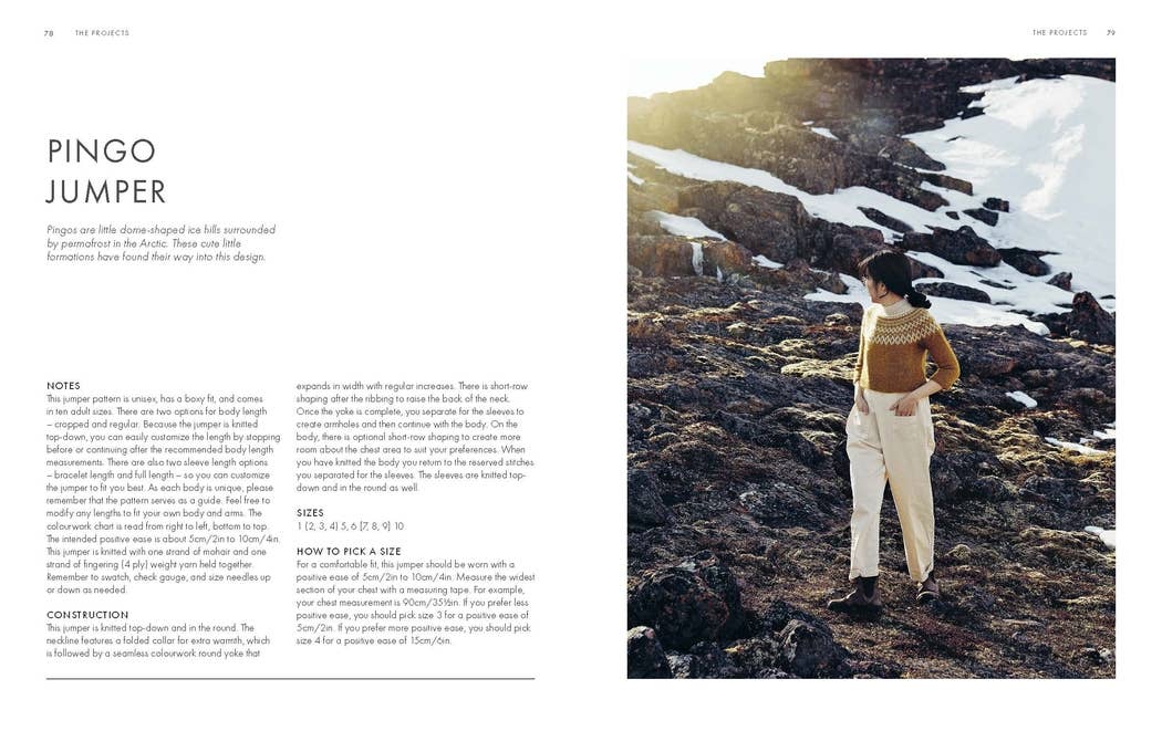 Chronicle Books - Wholesale Crafts, Hobbies & DIY - Arctic Knits7