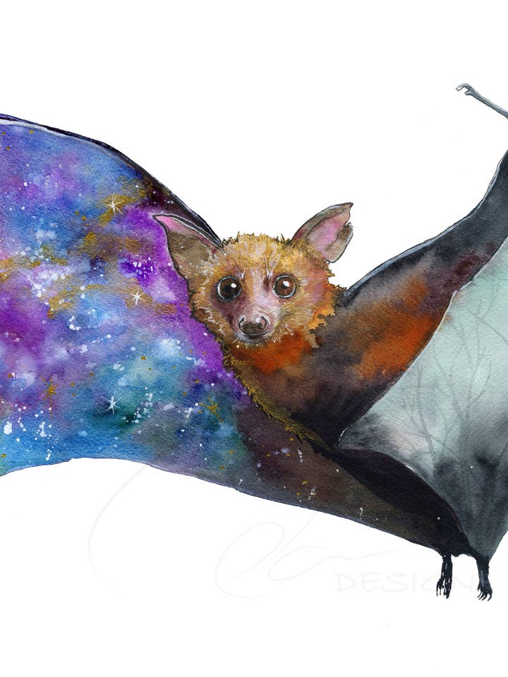 Aquarell-Kunstdruck - Entfaltung - Universum Fledermaus für den Großhandel von Oladesign