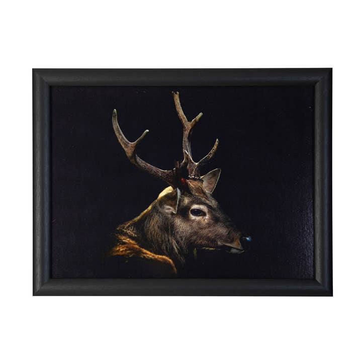 coussin de genoux noir reebok 43cm pour la vente par Mars & More - Brand of B Living