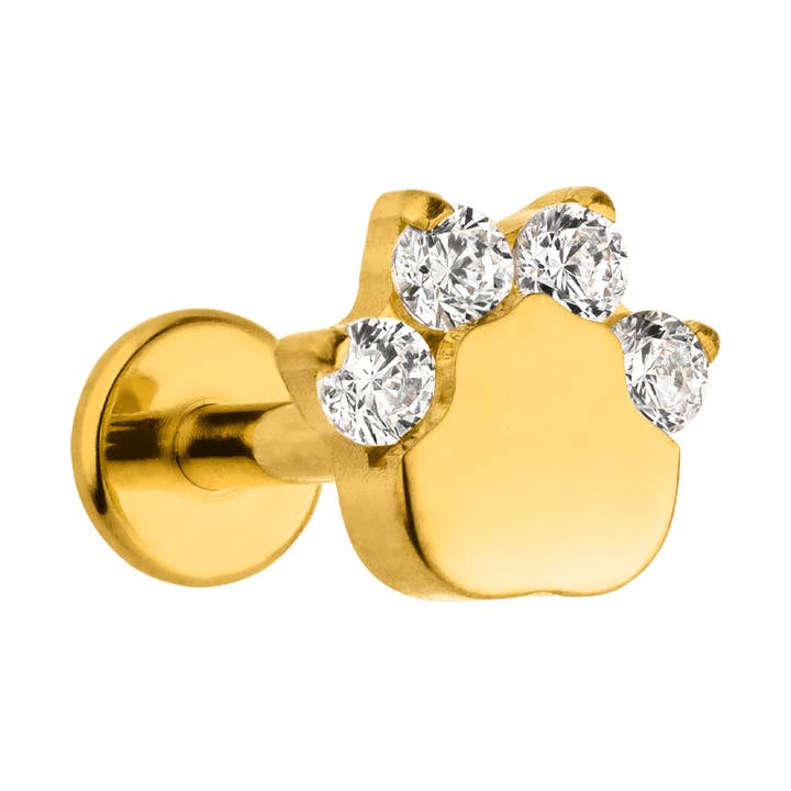 Shiny Paw Piercing | Titanium for wholesale by Schmuckgroßhandel