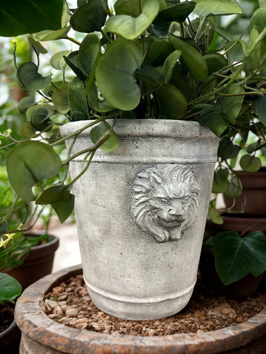 Vagabond Vintage - Wholesale Plant Pot - Cement Lion Planter3