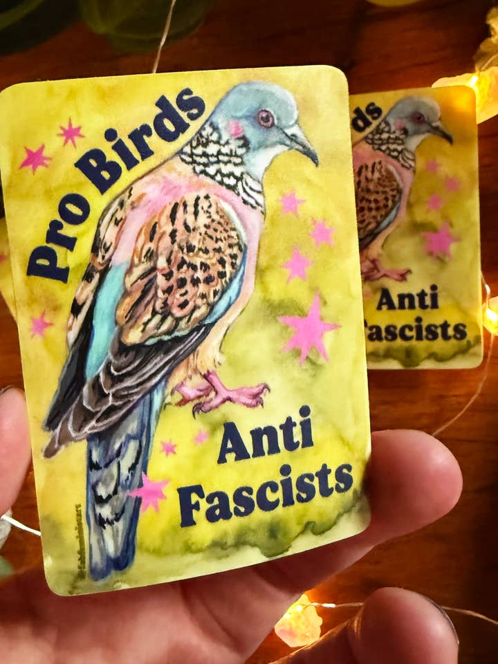 Pro Birds Anti Fascister: Feministisk Klistermärke för wholesale av Fabulously Feminist