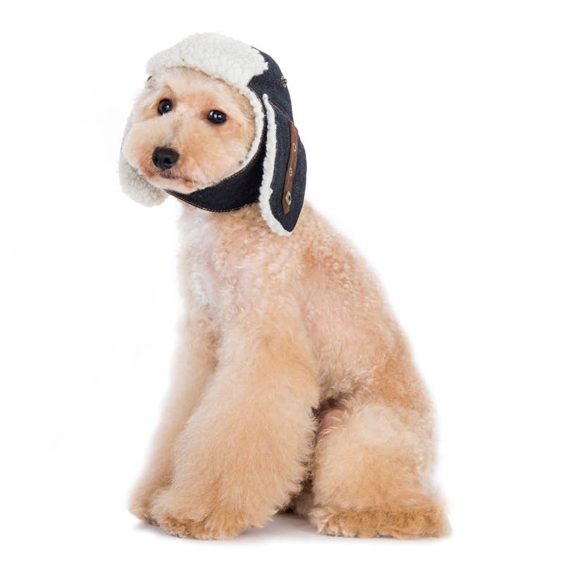 Dogo Pet - Wholesale Pet Hat - Dog - Trapper Hat3