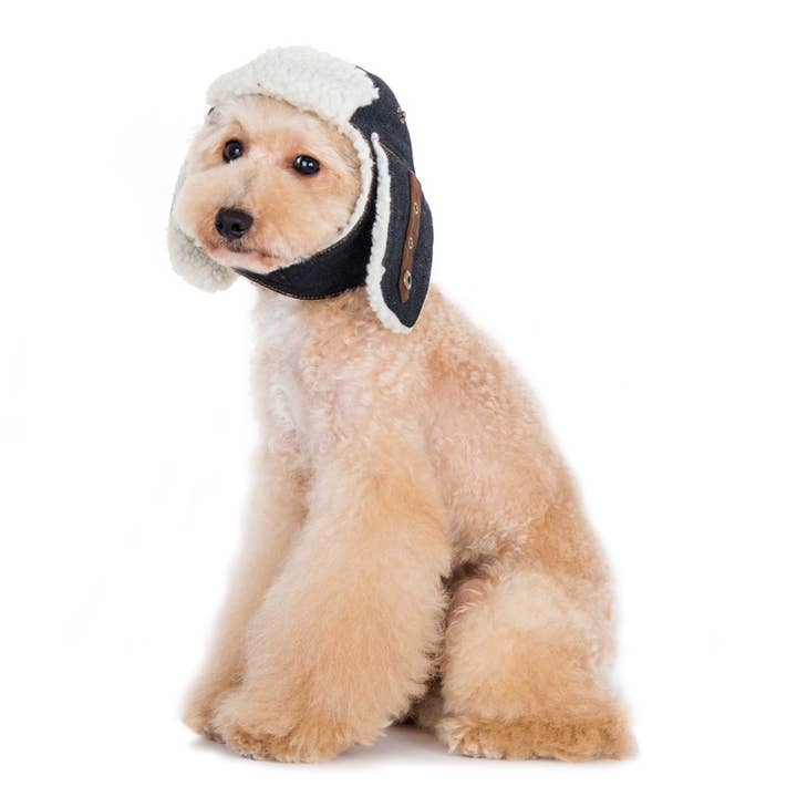 Dogo Pet - Vendita all'ingrosso Cappello - Cani - Cappello Trapper3