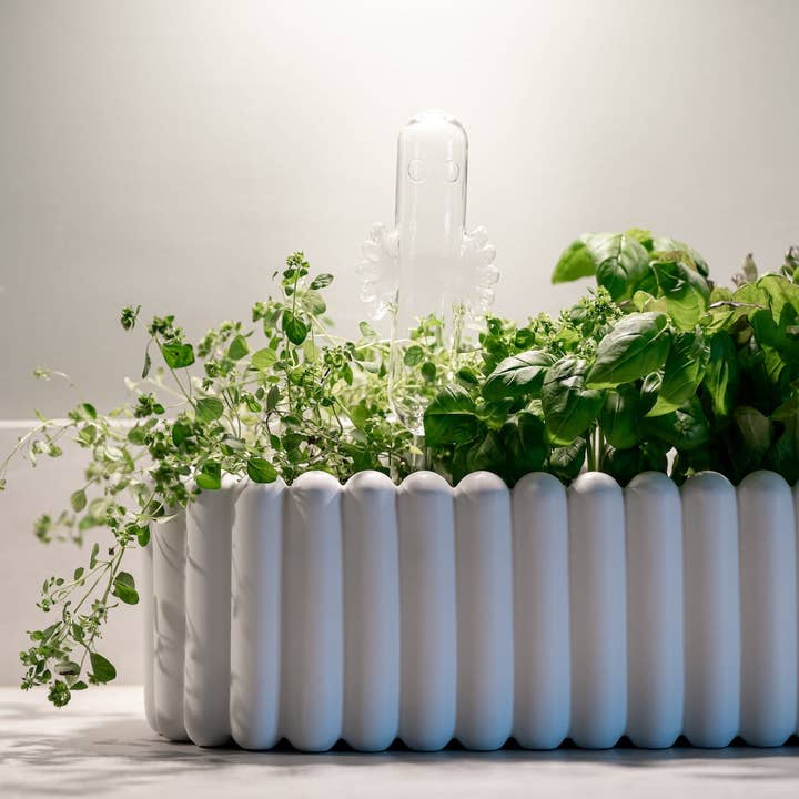 Treacle George (Muurla & Havi) – wholesale Watering can – MOOMIN | Hattifattener Watering Bulb | 30cm3