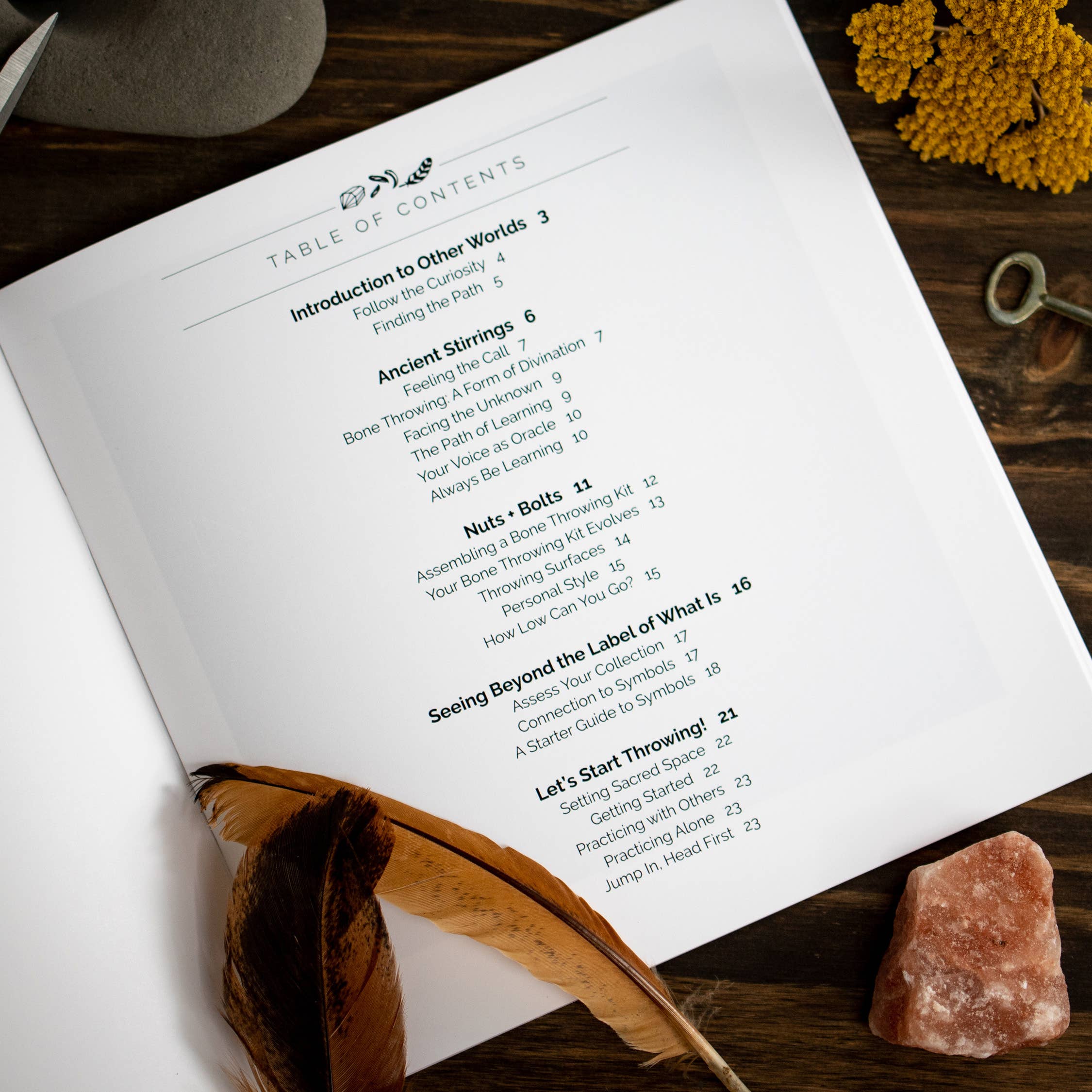 Taming the Tangle - Wholesale Body, Mind & Spirit - A Beginner's Guide to Bone Throwing, divination guide book1