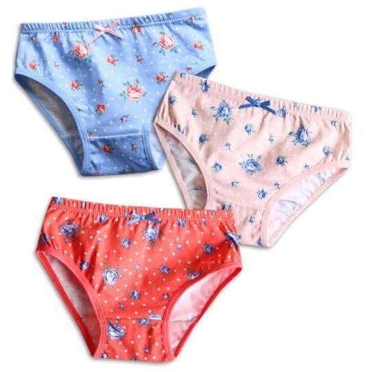 Red Flower Garden Girls Bikini Briefs 3 Pack Underwear for wholesale on Faire