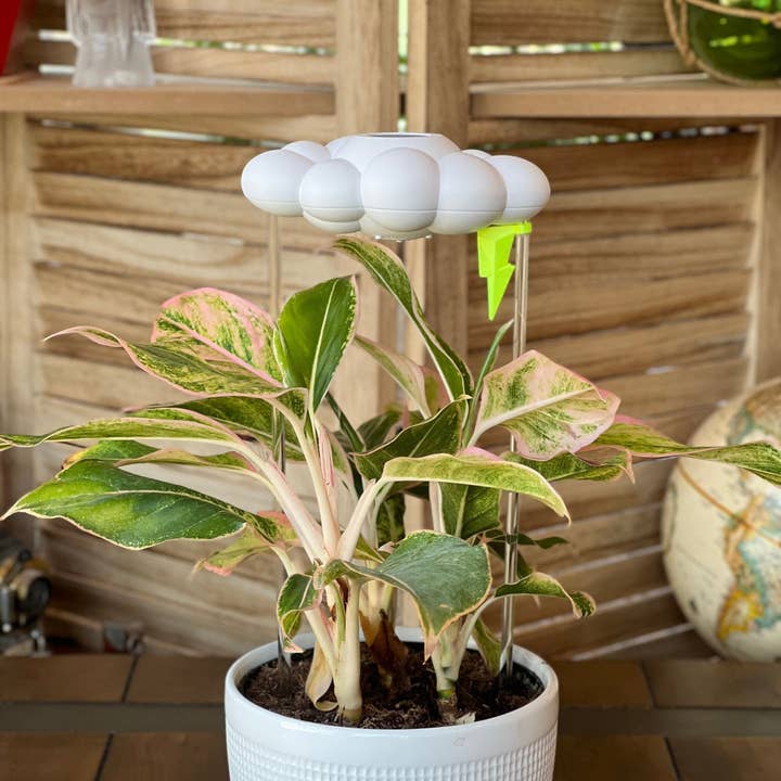 The Cloud Makers - Wholesale Plant pot - Neon Lightning Bolt Charm for Dripping Rain Clouds 2