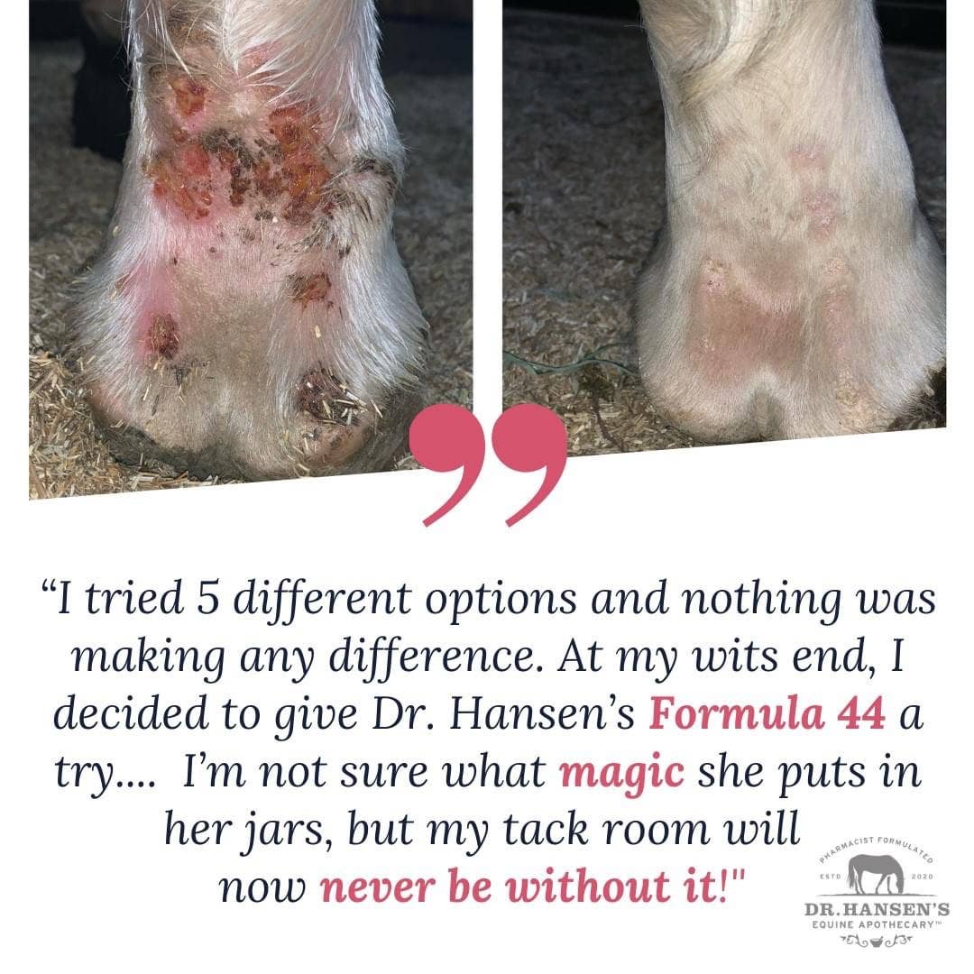 Dr. Hansen's Equine Apothecary - Wholesale Horse Conditioner/Grooming Aid - Formula 44 Bundle7