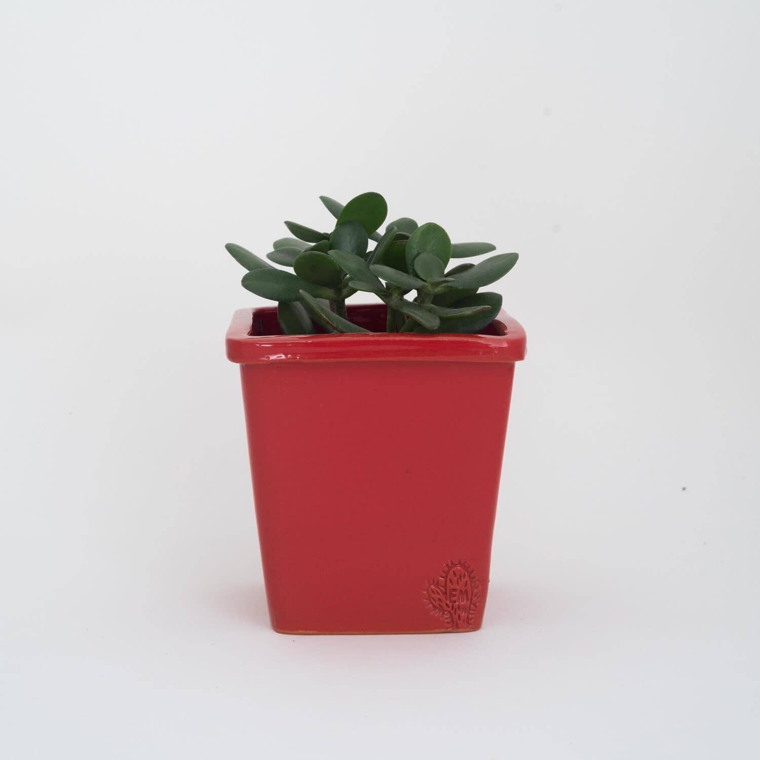 Vasos Quadrados by EM – Engroshandel Plantekrukke – Medium firkantet vase 14x14 cm - blank45