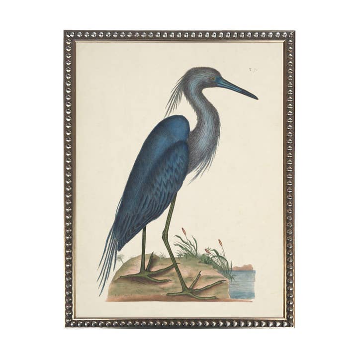 Vintage Waterbird F on cream background for wholesale by Antique Curiosities Inc