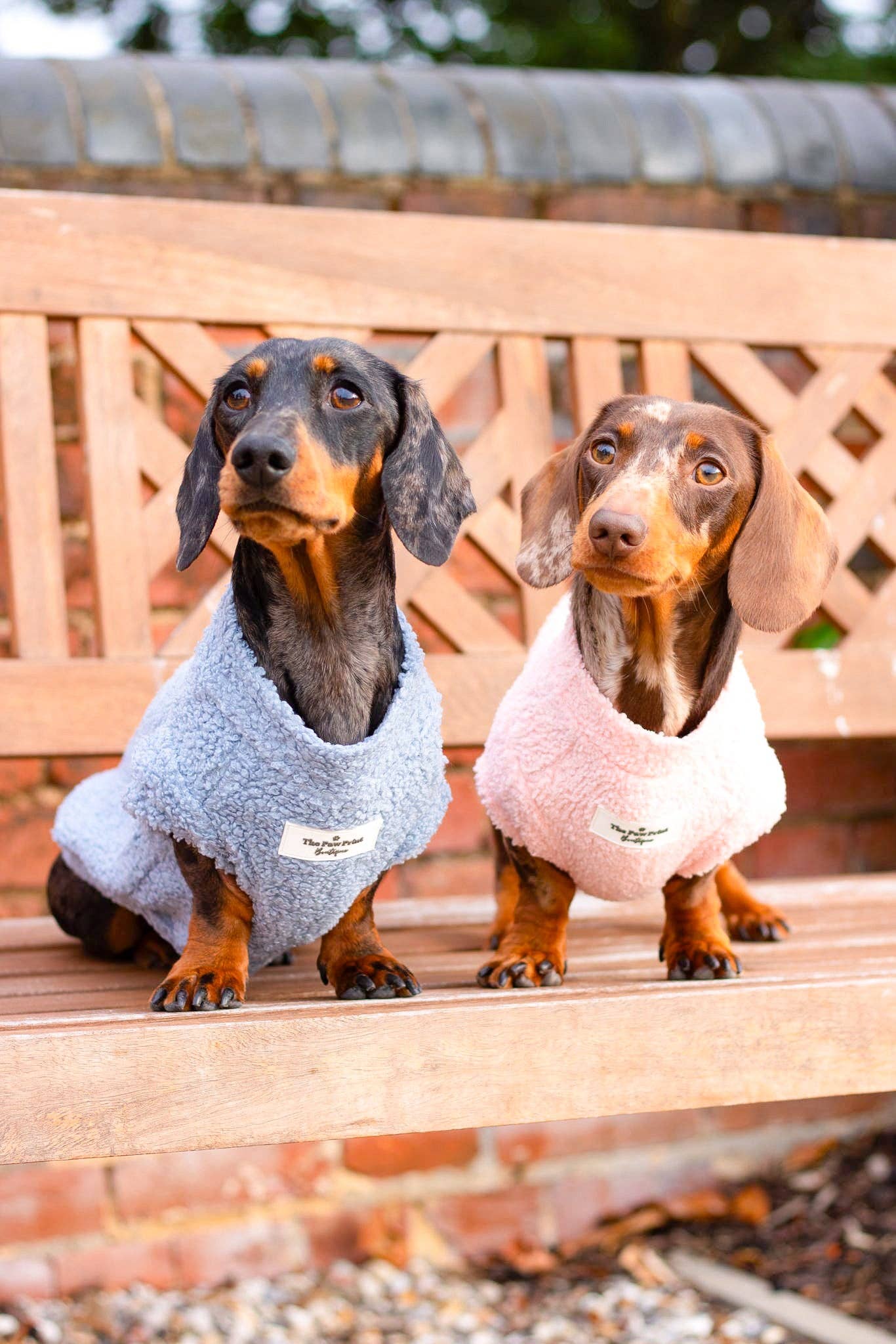 The Paw Print Boutique – wholesale Pet jumper – Dog – Teddy Fleece - Dusky Blue7