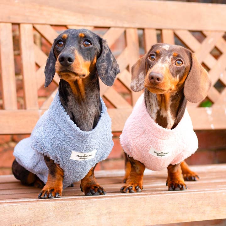 The Paw Print Boutique – wholesale Pet jumper – Dog – Teddy Fleece - Dusky Blue7