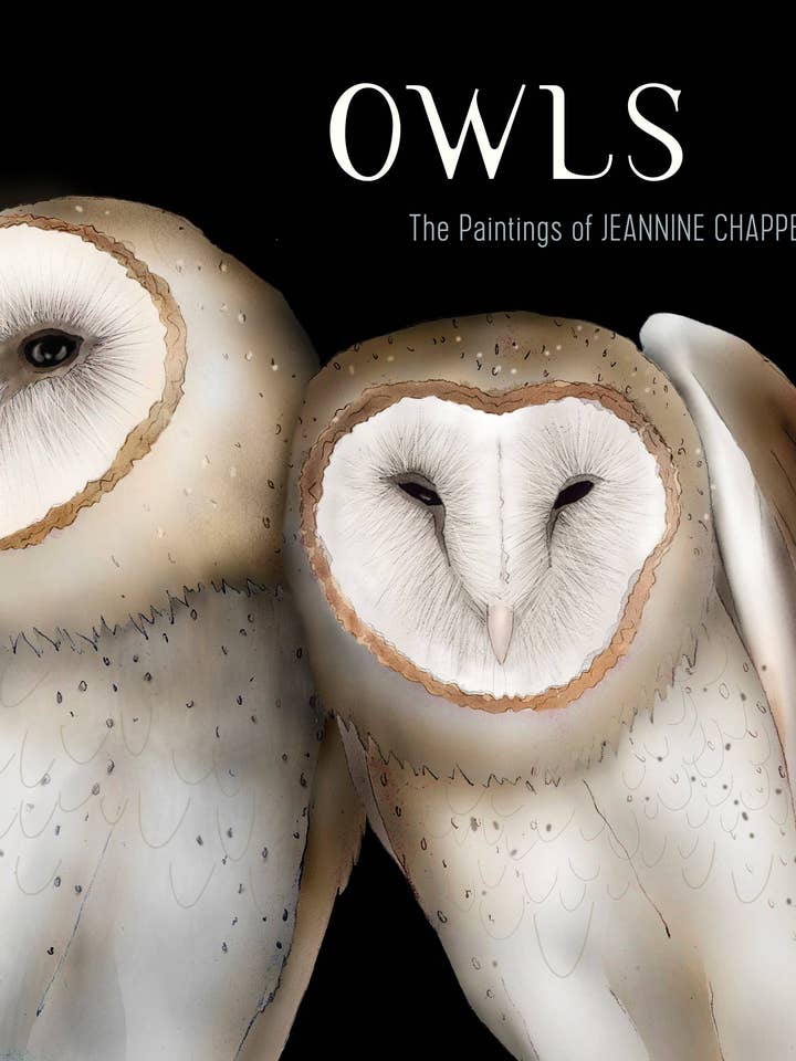 Owls: The Paintings of Jeannine Chappell for wholesale by Pomegranate