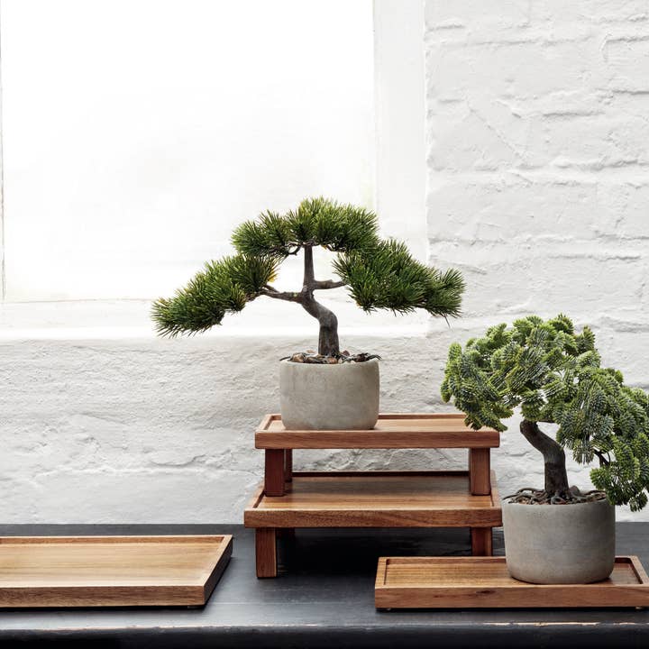 DEKO Artificial Bonsai Trees w/ Pot (SHIPS IN 1-2 DAYS) for wholesale by ASA Selection